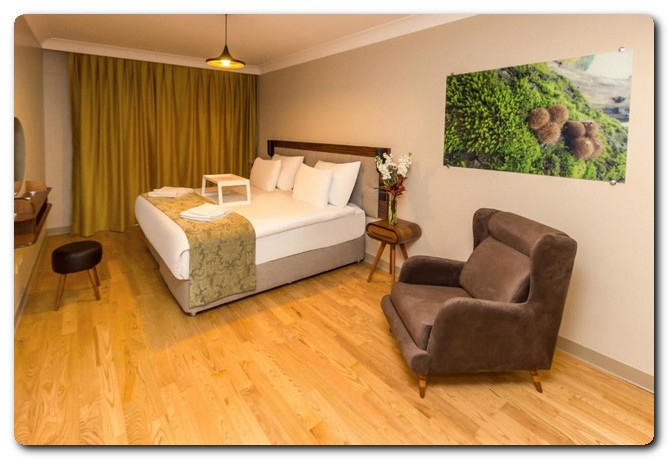 فندق Keten Suites تقسيم اسطنبول .. طريقك نحو الراحة والاسترخاء 18 فندق Keten suites