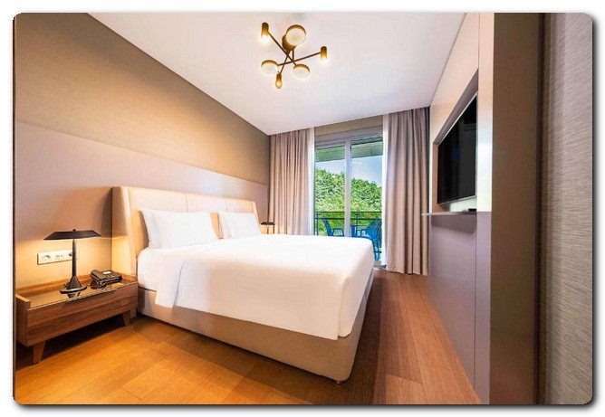 فندق Radisson blu vadi residence اسطنبول .. رحلتك للاسترخاء وسط الطبيعة 11 فندق Radisson blu vadi residence