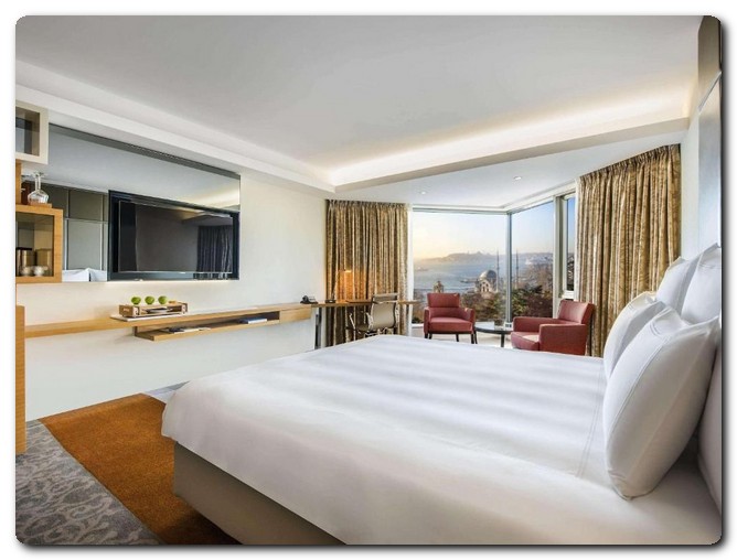 فندق Swissotel The Bosphorus بشكتاش اسطنبول .. عنوان الأناقة والجمال 23 Swissotel The Bosphorus
